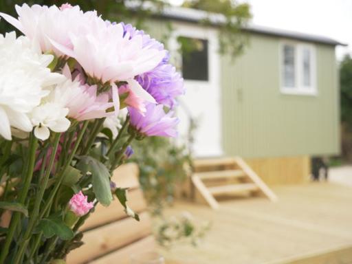 Wolstonbury Getaway Vila Hassocks Exterior foto